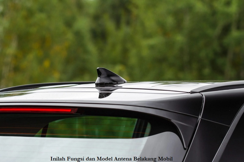 Inilah Fungsi dan Model Antena Belakang Mobil